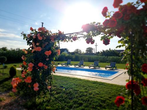 a garden with a swimming pool and flowers at Casa cu Trandafiri Murighiol in Murighiol