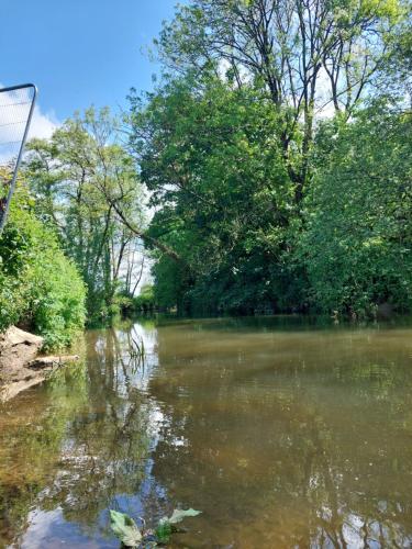 a river with trees on the side of it at 'Serenity in Somerset ' Self Catering House Rental Near Chard , Accomodation for Contract Workers only in Chardstock