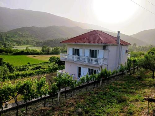 a house in a vineyard with mountains in the background at Villa Mira in Ballaban