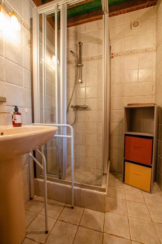 a bathroom with a shower and a sink at Terre d'ames in Montreuil-sur-Barse