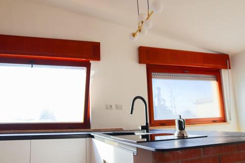 a kitchen with a sink and two windows at Casa in zona residenziale in Nettuno