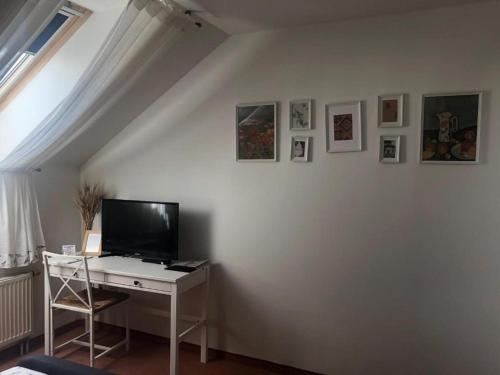 Televízia a/alebo spoločenská miestnosť v ubytovaní Hotel Mlyn