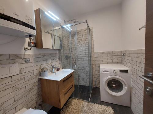 Apartment Rosa