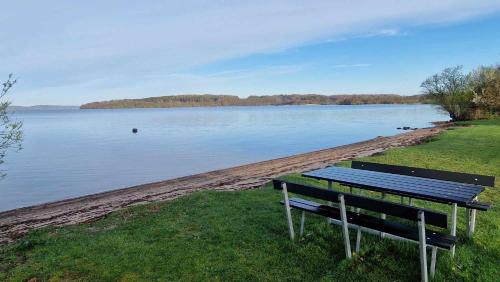 a bench sitting on the edge of a body of water at Sommerhus ved Mossø med søkig in Skanderborg
