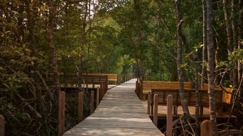 a wooden walkway through a forest with benches at TANJUNG GROVE VILLAS in Menumbok