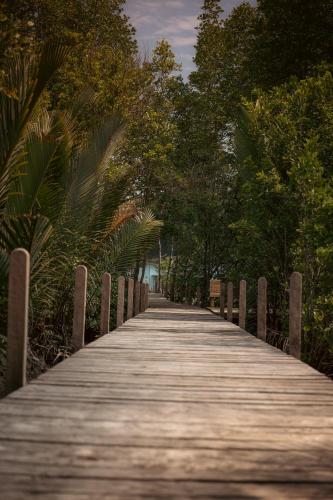 a wooden boardwalk with trees on the end of it at TANJUNG GROVE VILLAS in Menumbok