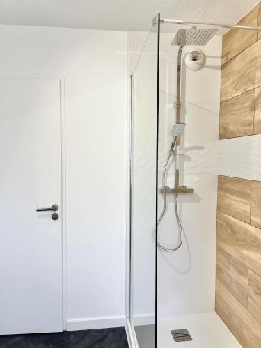une douche avec une porte vitrée dans une salle de bain dans l'établissement M16 Superbe T2 gare Annemasse avec Garage et balcon, à Ville-la-Grand