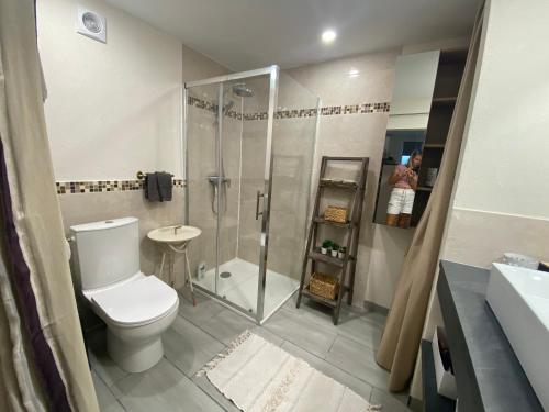 une salle de bain avec une douche, des toilettes et un lavabo dans l'établissement Studio Numéro 3, à Villeneuve-lès-Avignon