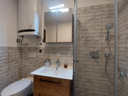 Apartment Rosa