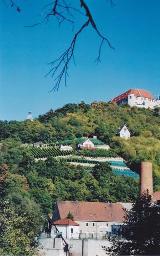 a hill with a vineyard and a house on it at Hotel garni Zum Rebstock in Naumburg