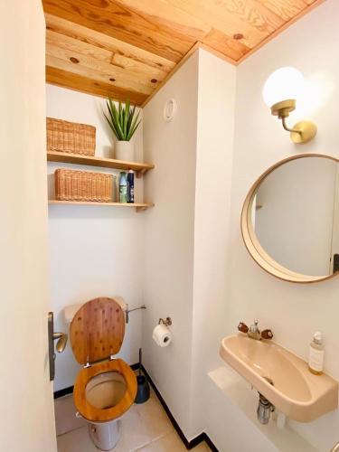 une salle de bain avec toilettes et miroir dans l'établissement Pied des pistes/Hyper centre/Balcon/Parking, à Chamonix-Mont-Blanc