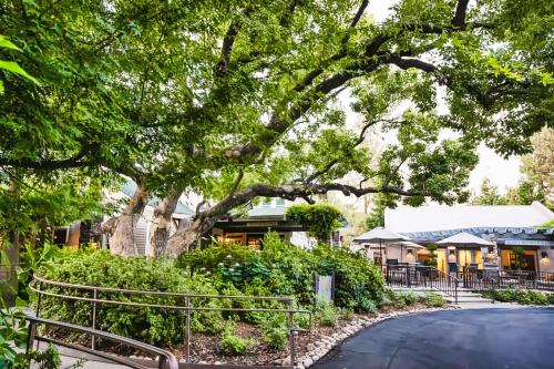 a walkway leading to a building with a tree at Appellation Lodi - Wine & Roses Resort and Spa in Lodi