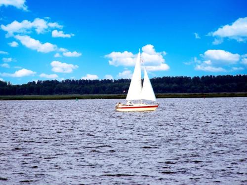 a sailboat on a large body of water at 4 pers house Cecil with own fishing spot on a dutch chanel in Anjum
