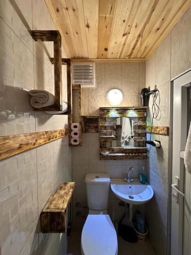 a bathroom with a toilet and a sink at Trabzon Mountain House-UZUNLU in Trabzon