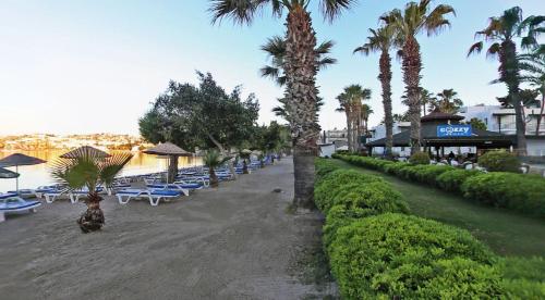a row of lounge chairs and palm trees on a beach at Parkim Ayaz Hotel in Gümbet