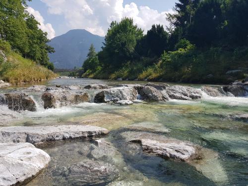 a river with rocks in the water and trees at Ferienwohnungen Gottschlicht in Oberhof