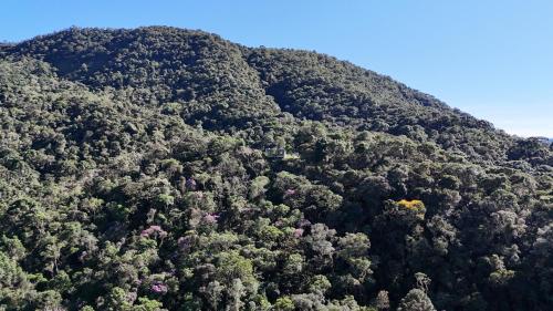 a mountain covered in trees with a house on it at Clareira Cabanas in Gonçalves
