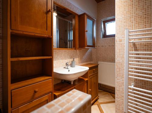 a bathroom with a sink and a mirror at Drevenička v Ďurčinej - Anna in Ďurčiná