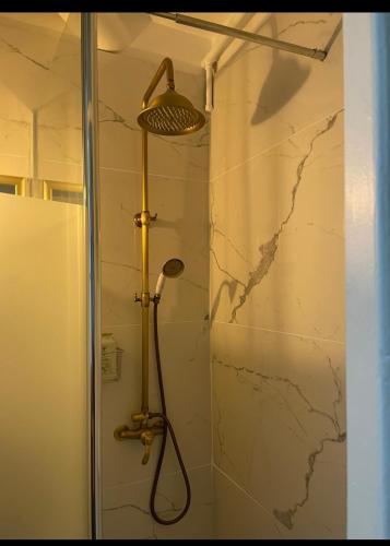 une douche avec pommeau de douche dans une salle de bain dans l'établissement Spacieux Studio * Hyper Centre *, à Orléans