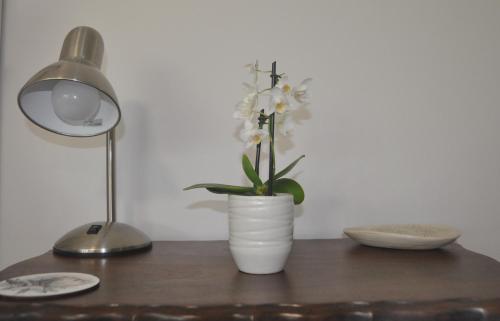 a white vase with white flowers on a table at 62 on Adderley in George