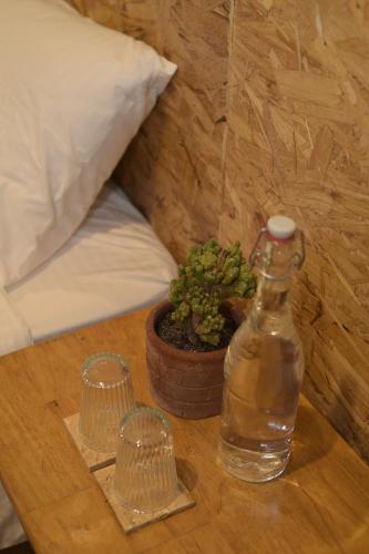a bottle of water and a potted plant on a table at Mosaic Liwliwa Hotel Near Beach in Zambales