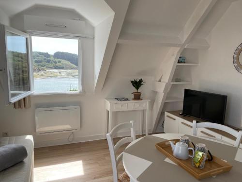 TV a/nebo společenská místnost v ubytování Appartement T2 vue mer Sauzon terrasse et parking privés