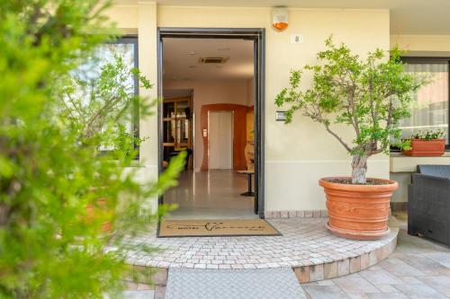 an entrance to a building with a plant in a pot at Hotel Vannucci in Rimini