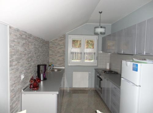 Kuchyň nebo kuchyňský kout v ubytování Apartments A&D