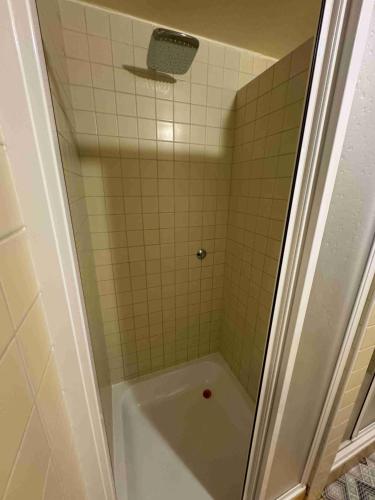 a bathroom with a shower with a bath tub at Ubytovna Český Krumlov in Český Krumlov