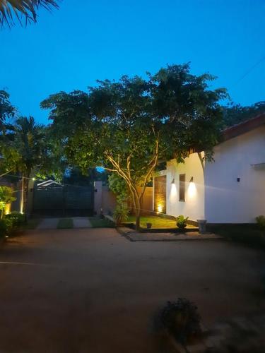 a tree in front of a house at night at Villa A50 in Negombo