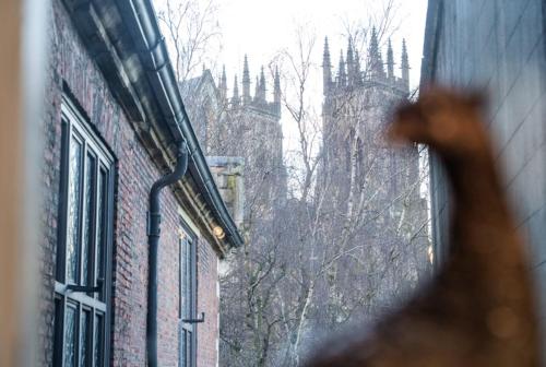 a cat looking out of a window at a building at Grays Court Hotel in York