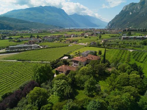 een luchtzicht op een wijngaard in een vallei met een huis bij Residenza alle Grazie in Riva del Garda