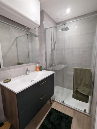 une salle de bain avec un lavabo et une douche dans l'établissement Duplex des Volcans, à Le Cendre