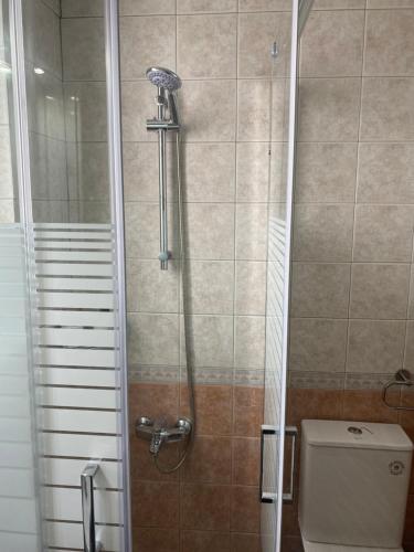 a shower in a bathroom with a toilet at Μεζονέτα AIKATERINI N 7 in Chios