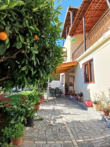 a courtyard of a house with an orange tree at Guest House Noah&Kristel in Berat