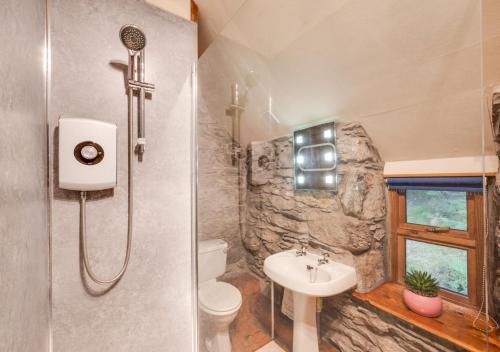 TrefriwにあるOchr y Foelのバスルーム(シャワー、洗面台、トイレ付)