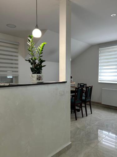 a living room with a counter with a potted plant at Apartman Diamond LUX in Surčin