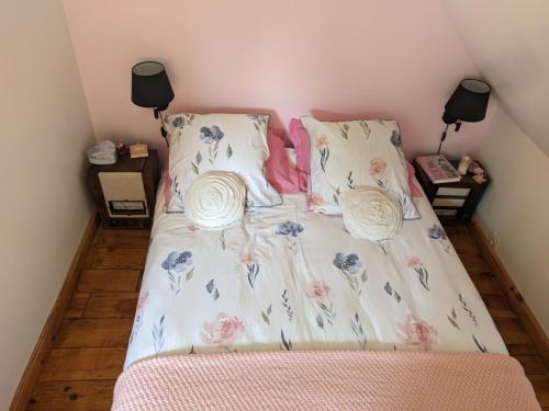 een slaapkamer met een bed met roze en blauwe bloemen bij Les Vieilles Aitres in Sargé Les Le Mans 