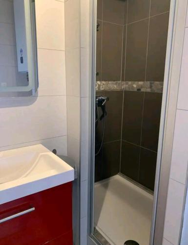 La petite salle de bains est pourvue d'une douche et d'un lavabo. dans l'établissement Soleil Bleu, T2, 53 m2 - 15min à pied des plages, au Pradet