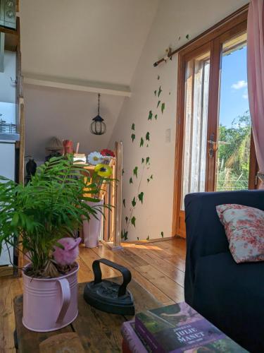 un salon avec un canapé bleu et une plante dans l'établissement Les Vieilles Aitres, à Sargé Les Le Mans 