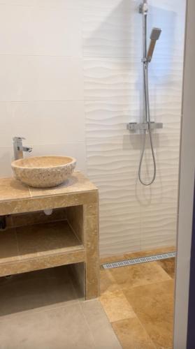 une salle de bain avec un lavabo et une douche dans l'établissement Maison 24h, au Mans