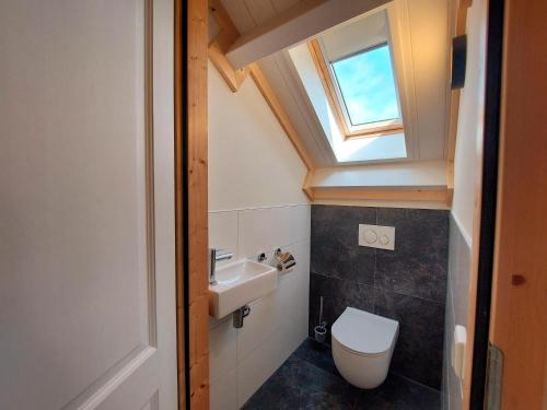 une petite salle de bain avec toilettes et fenêtre dans l'établissement Groenendijk Verhuur Vakantiehuis Oud Brabers, à Burgh-Haamstede