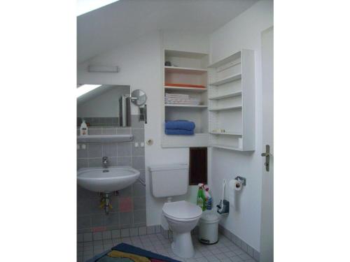 a small bathroom with a toilet and a sink at Haus-Becker-Schmidt-St-Blasien in St. Blasien