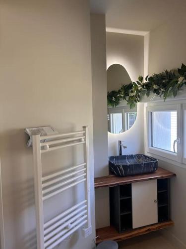 ein Badezimmer mit Waschbecken und Spiegel in der Unterkunft Bas de villa la sablhyeres- 300m Plage de la Capte - 2 hébergements disponibles in Hyères