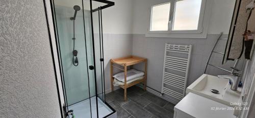 La petite salle de bains est pourvue d'une douche et d'un lavabo. dans l'établissement Pavillon avec jardin clos au bord de l'Yonne, à Coulanges-sur-Yonne