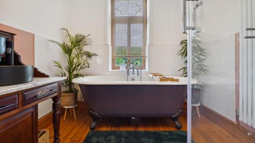 a bath tub in a bathroom with two plants at Tranquil countryside cottage for two in Wrexham