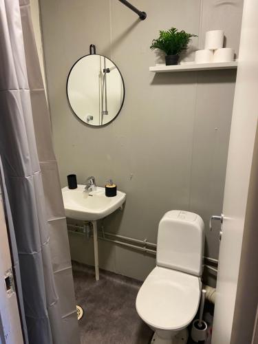 een badkamer met een toilet, een wastafel en een spiegel bij Spørkel Landbruk in Lier