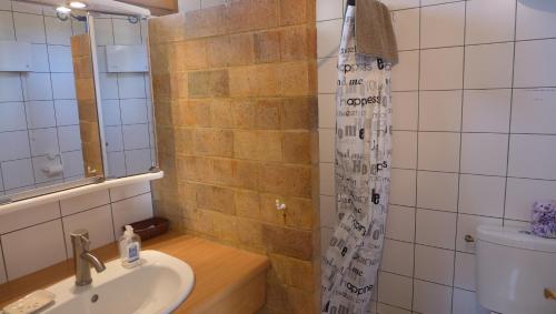 une salle de bain avec un lavabo et une douche dans l'établissement Gite Eden, aux Mirabelles, avec piscine, à Mirabel-aux-Baronnies