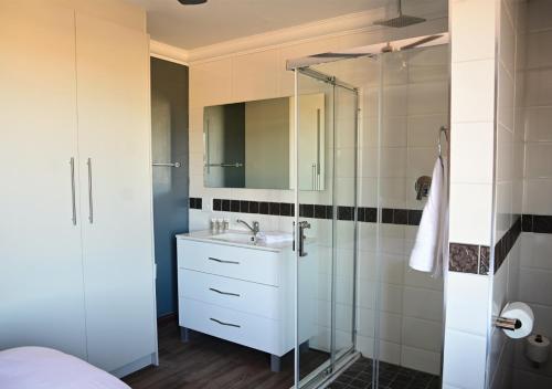 a bathroom with a sink and a glass shower at Omni The Pillar Boutique Hotel in Bloemfontein