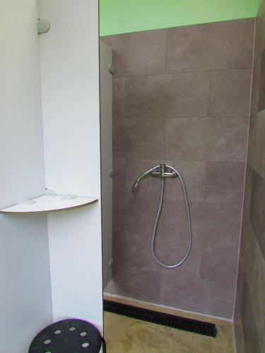 a shower with a shower head in a bathroom at Maurienne Outdoor - Nuit insolite en Yourte en Savoie in Saint-Georges-des-Hurtières